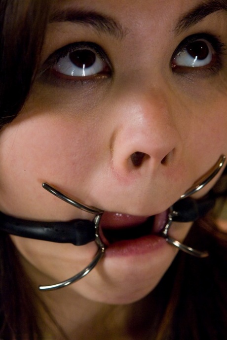 Tied up & ball-gagged teen with big tits Amy Aveline gets toyed and whipped